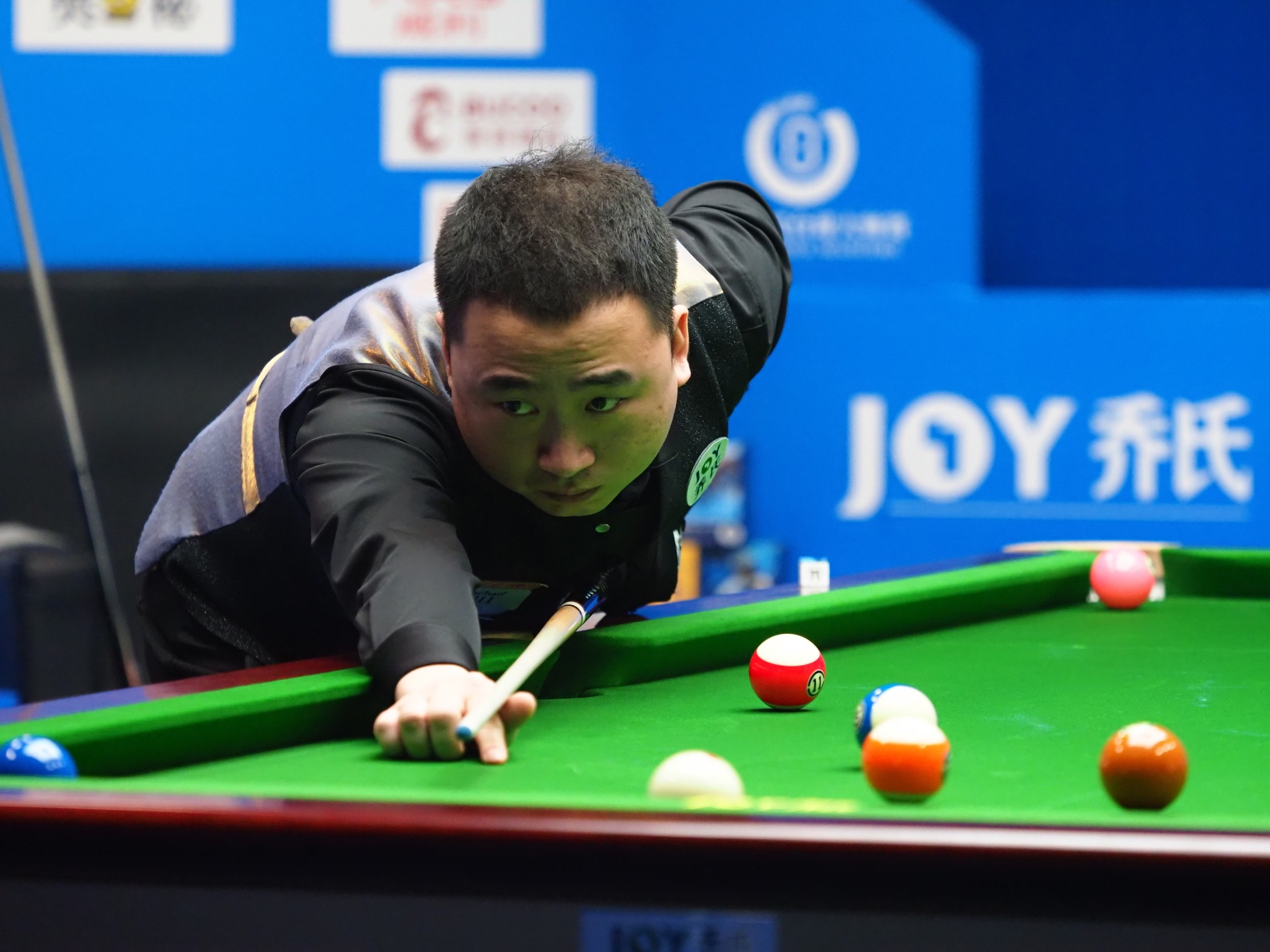 可谓下足了 可谓下足了