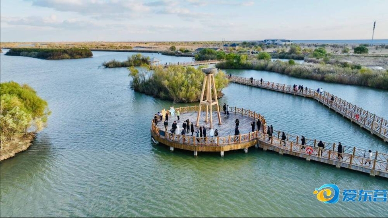 特谢拉的冲 特谢拉的冲